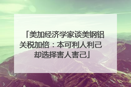 美加经济学家谈美钢铝关税加倍：本可利人利己 却选择害人害己